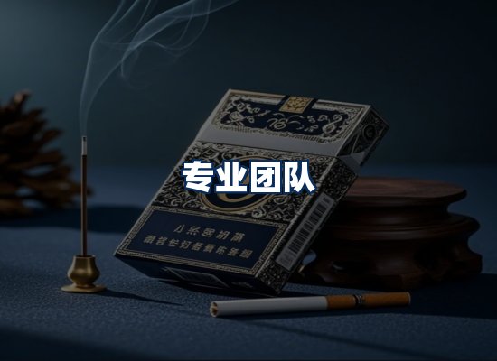 专业团队